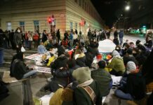 Policija intervenisala zbog propalestinskih protesta na Univerzitetu u Beču